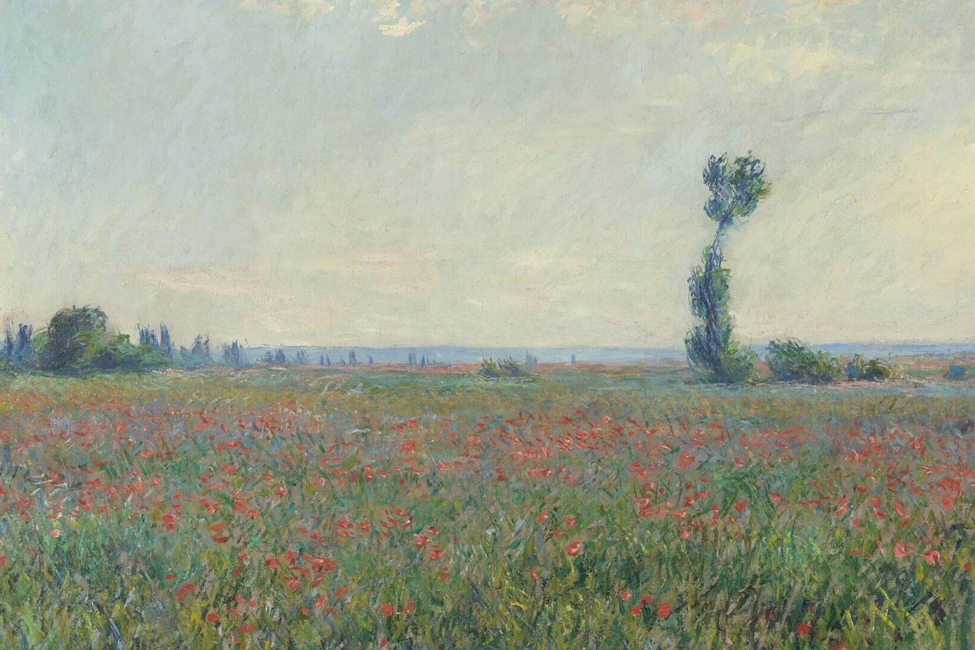 Claude Monet, Papaverveld (Champ de coquelicots), 1881, olieverf op doek, Collectie Museum Boijmans Van Beuningen, Rotterdam. Verworven met de verzameling van D.G. van Beuningen 1958